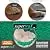Pet Gear Travel Lite Ramp with supertraX Surface for Maximum Traction, 4 Models to Choose from, 42-71 in. Long, Supports 150-200 lbs, Find The Best Fit for Your Pet