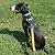 Big Dog Harness No Pull Adjustable Pet Reflective Oxford Soft Vest for Large Dogs Easy Control Harness