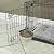 MidWest Homes for Pets Snap'y Fit Stainless Steel Food Bowl / Pet Bowl, 2 qt. for Dogs & Cats
