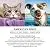 Solid Gold Glucosamine & Advanced Joint Health Chews for Dogs; Natural, Holistic Grain-Free Supplement with Glucosamine, MSM & Chondroitin; 120ct