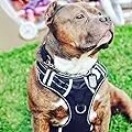 Big Dog Harness No Pull Adjustable Pet Reflective Oxford Soft Vest for Large Dogs Easy Control Harness