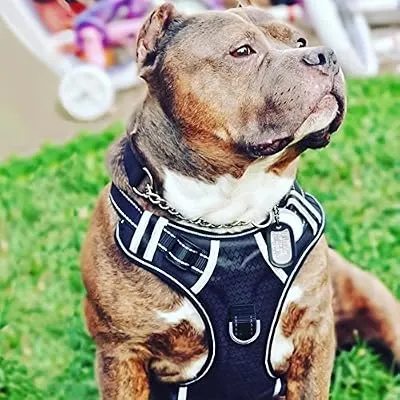 Big Dog Harness No Pull Adjustable Pet Reflective Oxford Soft Vest for Large Dogs Easy Control Harness